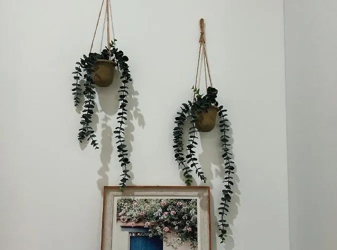 Clinton 宾馆 地拉那